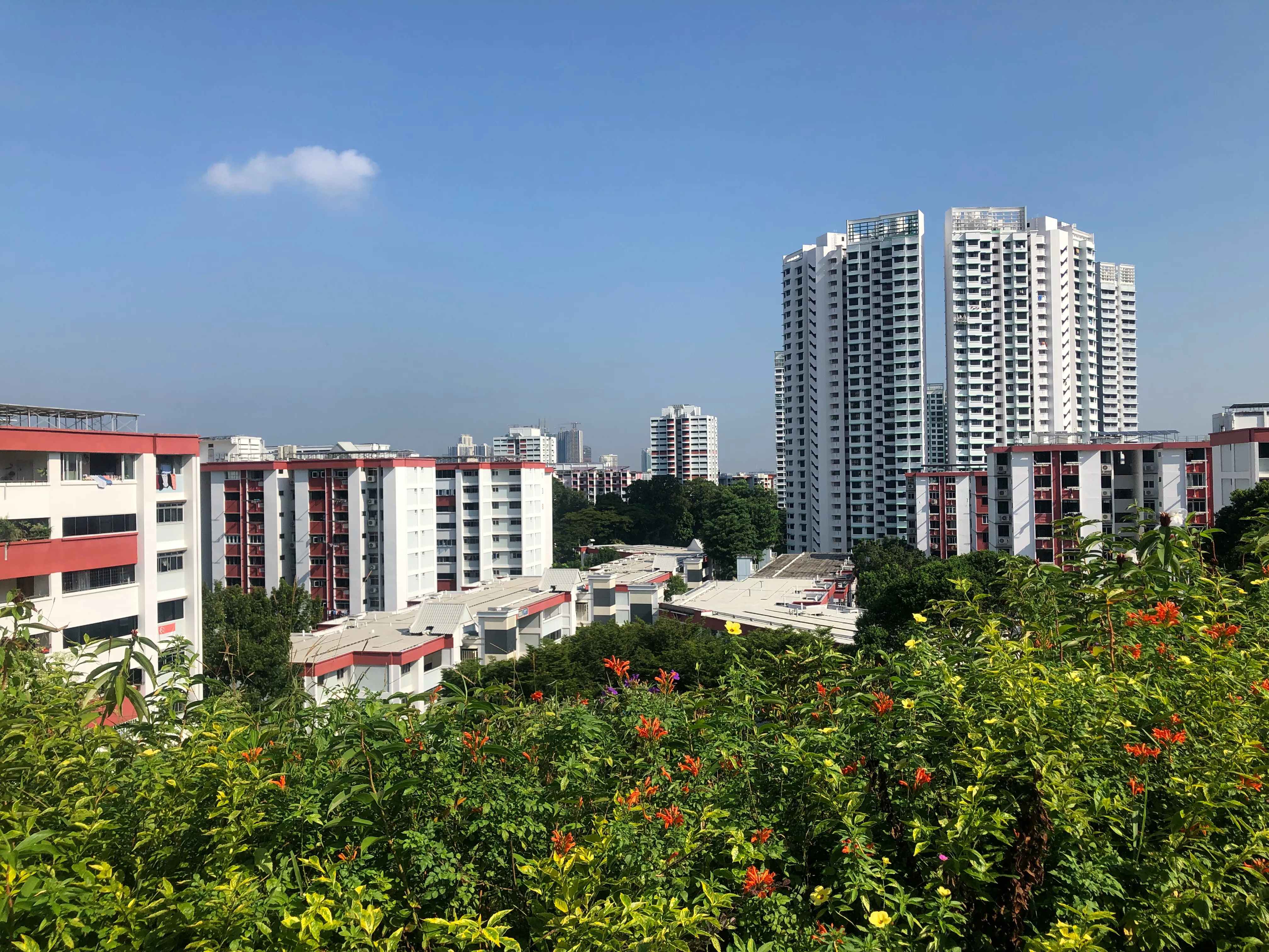 Woodlands neighbourhood